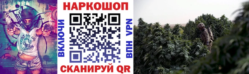 Как найти закладки Сосновый Бор А ПВП  ГАШ  Марихуана  Кокаин 